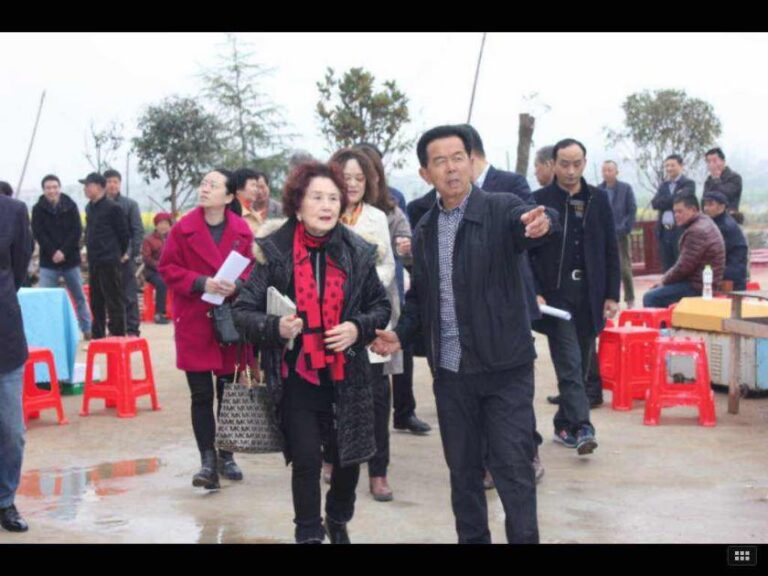 血脉承黄埔，赤诚筑家国——张琍玲女士的家国情怀与不朽精神